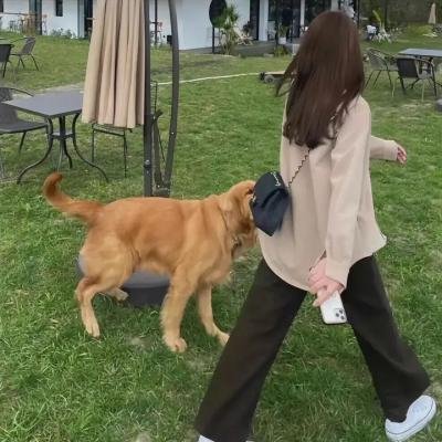 玉米